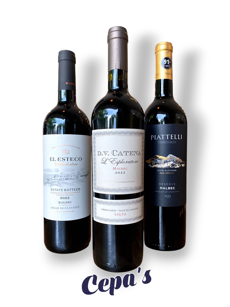 Trio Seleccion - Salta